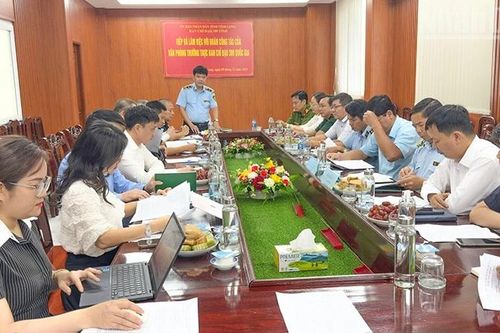 Ban Chỉ đạo 389 quốc gia kiểm tra công tác phòng, chống buôn lậu tại Vĩnh Long