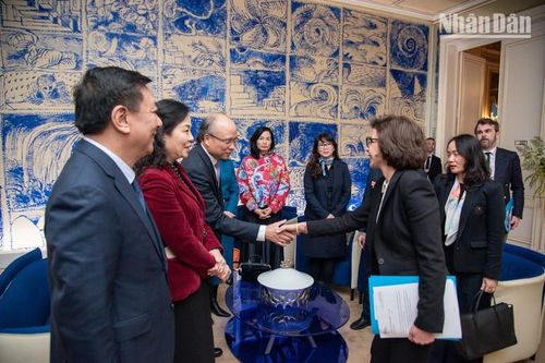 Hoạt hình và lưu trữ di sản điện ảnh sẽ là ưu tiên của hợp tác văn hóa Việt Nam-Pháp