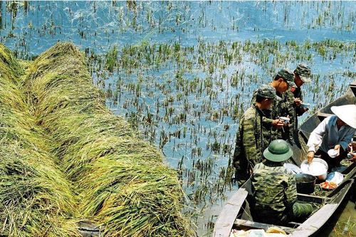 Ánh đèn biên giới