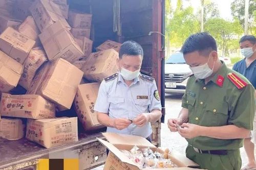 Hôm nay 9-12, khai mạc kỳ họp thứ 6 HĐND TPHCM khóa X: Cử tri kiến nghị mạnh tay xử lý hàng giả, hàng nhái
