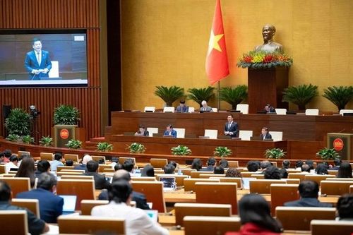 Hôm nay, Quốc hội bàn phương án xử lý Dự án Nhà máy Bột giấy Phương Nam