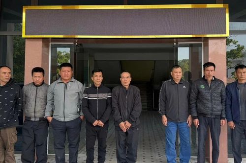 Khởi tố 16 đối tượng đánh bạc qua việc chọi trâu ở Tuyên Quang