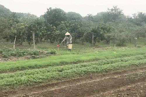 Ký ức tháng Mười hai