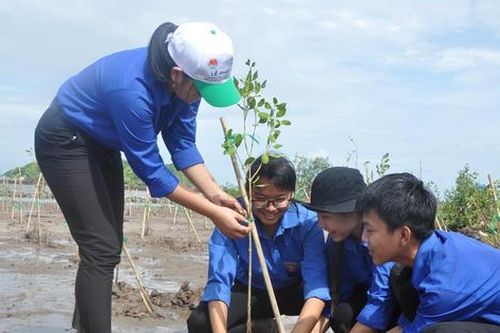 Sơ kết Đề án bảo vệ, phát triển rừng vùng ven biển