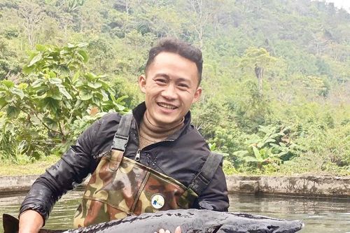 'Chạm' vào Thượng Minh qua ánh sáng rừng trúc và vị ngọt cá tầm