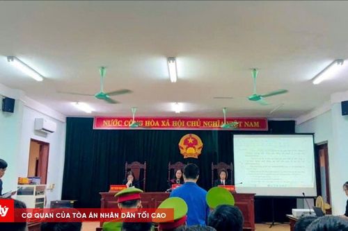 3 năm tù cho đối tượng tàng trữ ma túy để sử dụng