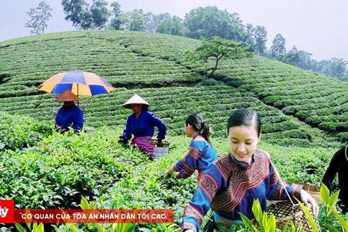 Thái Nguyên luôn đồng hành cùng đồng bào DTTS phát huy nội lực phát triển
