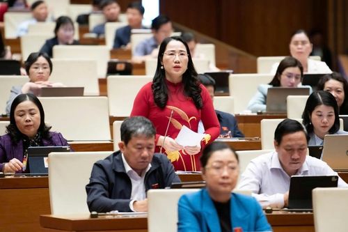 Đại biểu Quốc hội: Viện Kiểm sát nhân dân tối cao đã rất nỗ lực khẩn trương sắp xếp, kiện toàn bộ máy
