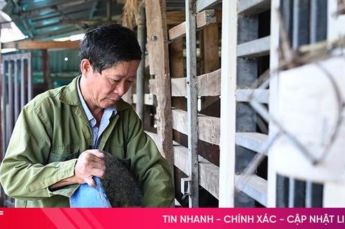 Nhiều mô hình kinh tế khởi nghiệp mới ở Thạch Hà