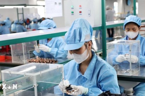 Việt Nam, Hàn Quốc bàn về các biện pháp hợp tác phòng vệ thương mại