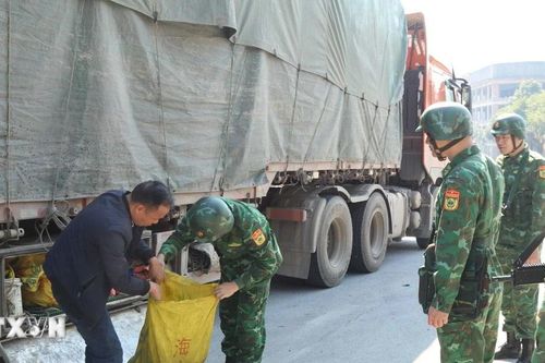 Triệt phá đường dây pha chế, mua bán ma túy dạng tinh dầu
