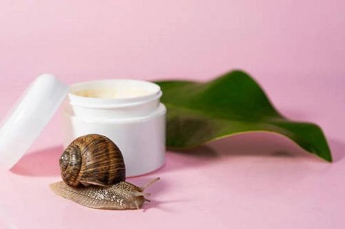 4 lợi ích vượt trội của tinh chất ốc sên trong chăm sóc da