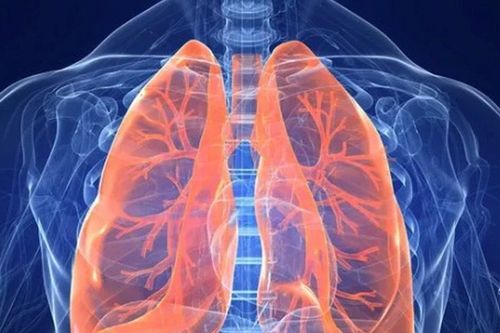 Các loại thực phẩm càng ăn càng giúp làm sạch phổi