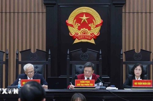 Cựu Giám đốc, Phó Giám đốc Sở Giáo dục và Đào tạo Thành phố Hồ Chí Minh hầu tòa