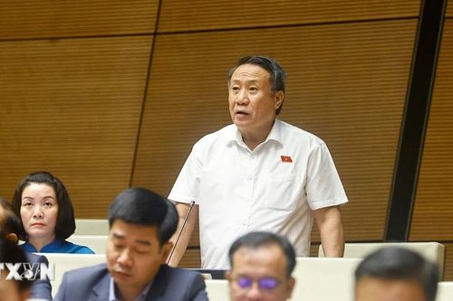 Kỳ họp thứ 10, Quốc hội Khóa XV: Áp dụng hoàn thuế tự động theo mức độ rủi ro