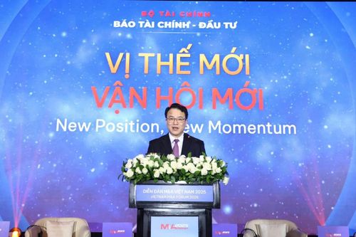 Việt Nam vẫn duy trì được sự ổn định nhờ loạt thương vụ quy mô lớn
