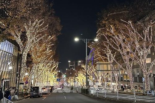 Giáng Sinh rực rỡ giữa lòng Tokyo 2025