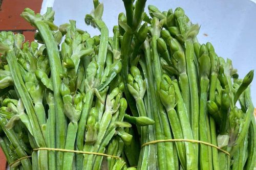 Loại rau mọc dại ở miền Tây, được săn đón nhiều nhất vào mùa nước nổi