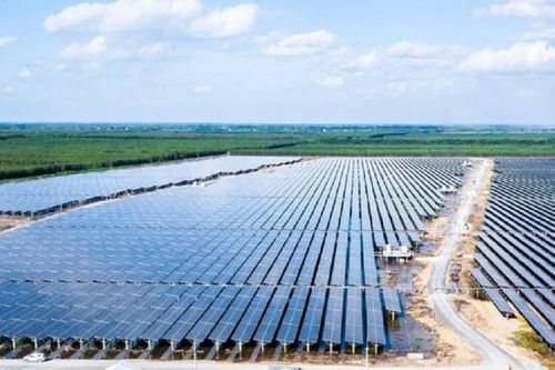 Bamboo Capital đặt mục tiêu lỗ... đến hết 2027