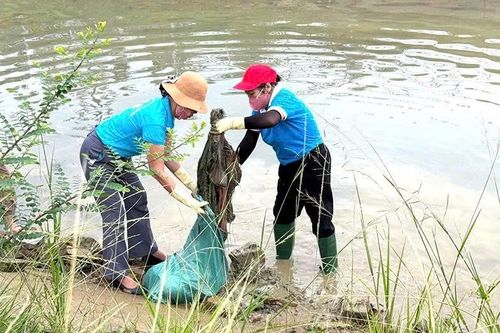 Duy trì các hoạt động, mô hình kiểm soát và bảo vệ môi trường