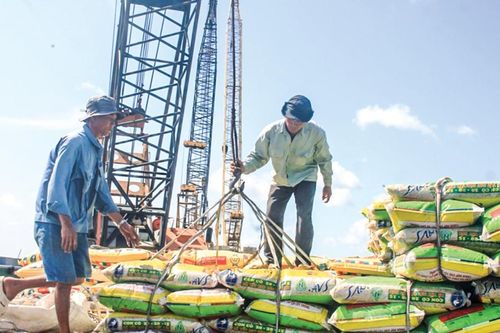 Dịch chuyển thương mại điện tử về Cần Thơ: Tín hiệu tăng tốc của trung tâm vùng