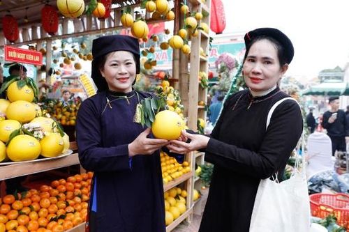 Lễ hội trái cây Bắc Ninh 2025: Đa dạng hình thức quảng bá, hút khách tham quan