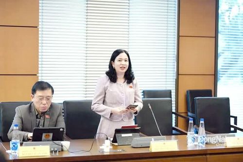 Đoàn đại biểu tỉnh Đồng Nai kiến nghị làm rõ nguồn lực, chỉ tiêu chương trình mục tiêu quốc gia