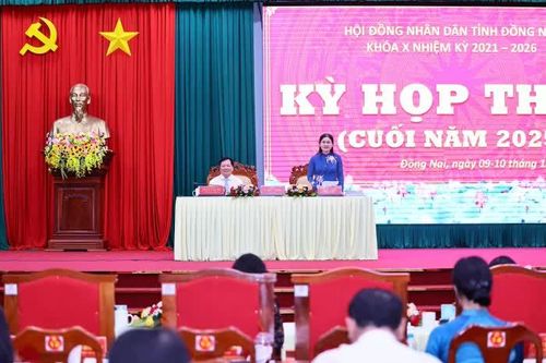 Đại biểu HĐND tỉnh Đồng Nai thảo luận sôi nổi tại hội trường