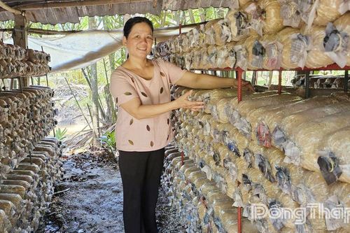 Từ công nhân may thành chủ trang trại nấm