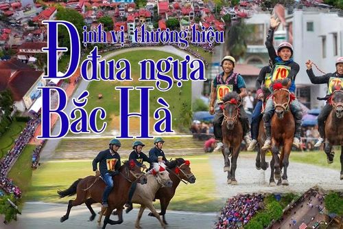 Định vị thương hiệu đua ngựa Bắc Hà