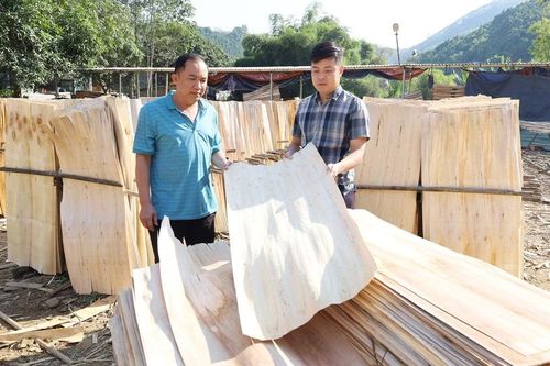 Bảo Hà nâng cao thu nhập cho người dân từ sản xuất ván bóc