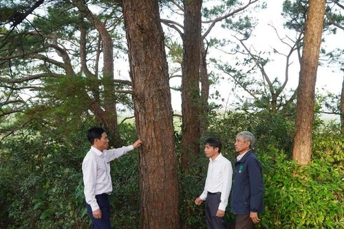 Trường Xuân: Siết chặt kỷ cương trong quản lý, bảo vệ rừng