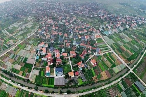 Hối hả trên đồng Tứ Xã
