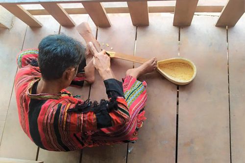 Lưu giữ cây đàn Ta lư