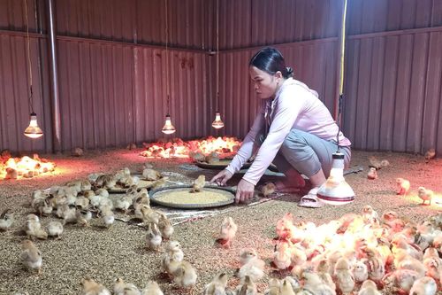 Đồng hành giúp người dân trên hành trình thoát nghèo