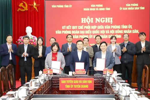Nâng cao chất lượng, hiệu quả tham mưu, phục vụ công tác văn phòng