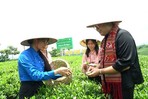 Người phụ nữ 'thắp lửa' cho du lịch nông sản