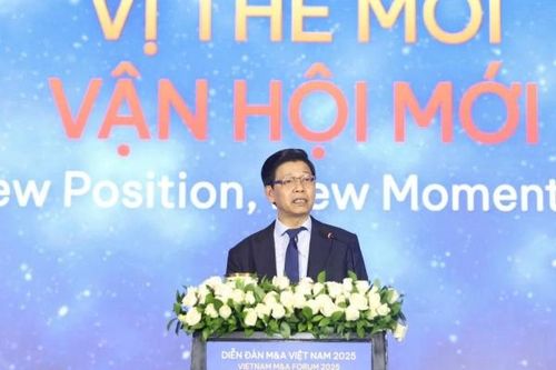 Việt Nam bước vào 'Kỷ nguyên M&A mới': Vị thế nâng tầm, vận hội bùng nổ năm 2025