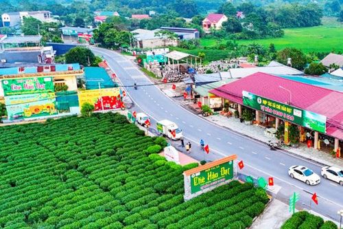 Nguồn lực mạnh mẽ thúc đẩy phát triển nông thôn mới ở Thái Nguyên