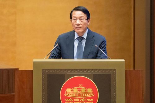 Chính phủ báo cáo công tác phòng, chống tội phạm năm 2025