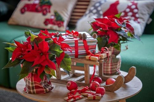 Trang trí Noel từ đồ tái chế vừa đẹp lại ý nghĩa nhờ biết 10 mẹo hay
