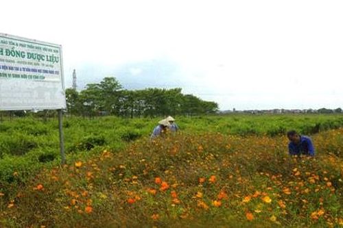 Dám nghĩ, dám làm vì sự phát triển của Thủ đô