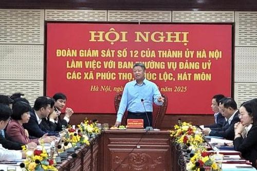 Đoàn Giám sát số 12 của Thành ủy Hà Nội làm việc với 3 xã: Phúc Thọ, Hát Môn, Phúc Lộc