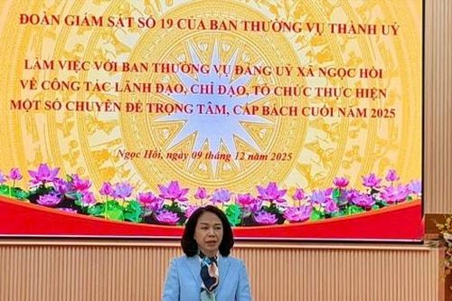 Phó Chủ tịch UBND thành phố Hà Nội Vũ Thu Hà giám sát tại xã Ngọc Hồi