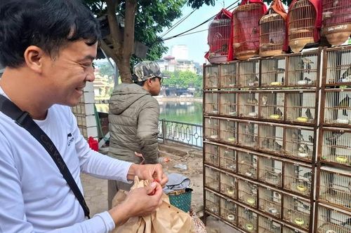 Chợ của người mê chim ở Hà Nội có gì lạ?