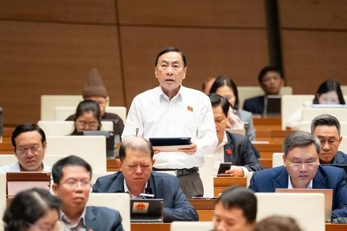 ĐBQH lo lắng trước nhiều loại tội phạm gia tăng, xuất hiện các vụ án giết người dã man gây rúng động