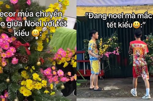 Trào lưu Noel 'trộn' Tết hài hước: Từ cây thông mọc hoa mai đến âm nhạc '2 trong 1'