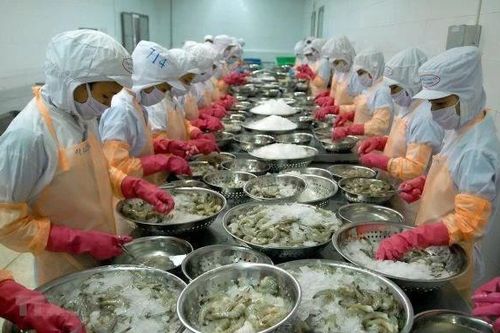 Xuất khẩu thủy sản sang Nhật Bản phục hồi mạnh
