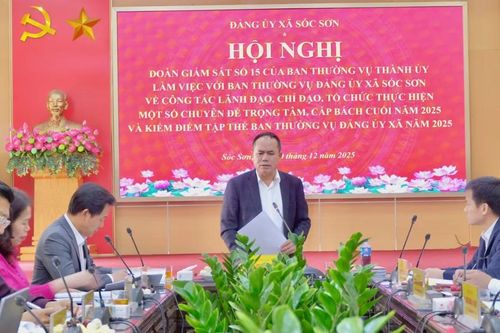 Đoàn giám sát Thành ủy Hà Nội làm việc với xã Sóc Sơn