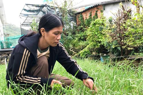 Việc làm nhỏ, ý nghĩa lớn